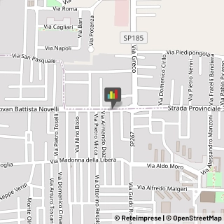 Scuole e Corsi di Lingua Marcianise,81025Caserta