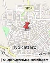 Via Logroscino, 52,70016Noicàttaro
