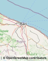 Sartorie Turi,70010Bari