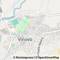 Mapa Vinovo