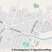 Carte Gonzaga