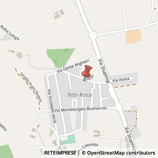 Mappa Strada Tetti Rosa, 15, 10048 Vinovo, Torino (Piemonte)