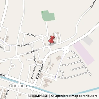 Mappa Strada Comunale Bassa Po Vecchio, 2, 46023 Gonzaga, Mantova (Lombardia)