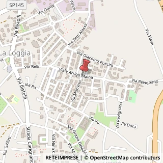Mappa Viale maina 56, 10040 La Loggia, Torino (Piemonte)