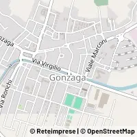 Carte Gonzaga