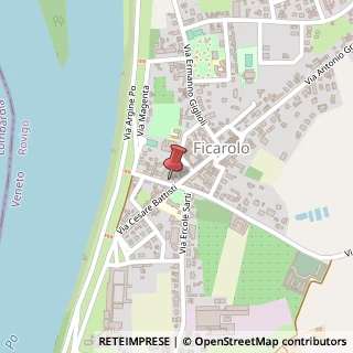 Mappa Piazza Giuseppe Garibaldi, 19, 45036 Ficarolo, Rovigo (Veneto)