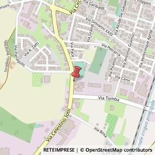 Mappa Via Celestino Iotti, 45, 42045 Luzzara RE, Italia, 42045 Luzzara, Mantova (Lombardia)