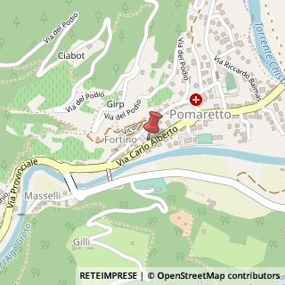 Mappa Via Carlo Alberto, 43, 10063 Pomaretto, Torino (Piemonte)