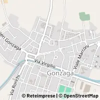 Carte Gonzaga