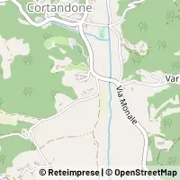 Kart Cortandone