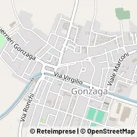 Carte Gonzaga