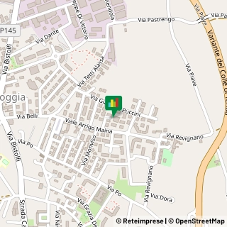 Viale Maina, 17-10,10040La Loggia