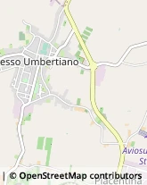 Via Fratelli Tosarello, 108/1,45024Fiesso Umbertiano