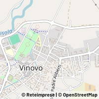 Map Vinovo