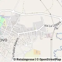 Map Vinovo