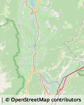 Frutta e Verdura - Dettaglio Mezzolombardo,38017Trento