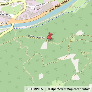 Mappa 4 Localita' Arodolo, Molina, TN 38030, 38030 Castello-molina di Fiemme TN, Italia, 38030 Castello-Molina di Fiemme, Trento (Trentino-Alto Adige)