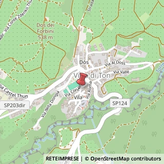Mappa Via Fabio Filzi,  2, 38010 Don, Trento (Trentino-Alto Adige)