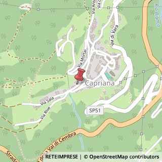 Mappa Via Dallio G.Battista, 22, 38030 Capriana, Trento (Trentino-Alto Adige)