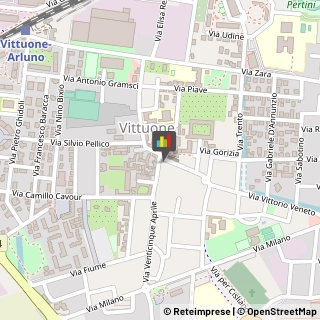 Feste - Organizzazione e Servizi Vittuone,20009Milano