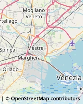 Autotrasporti Venezia,30174Venezia