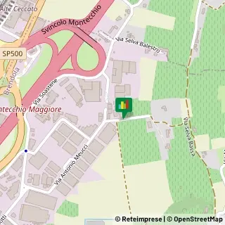 Via Meucci, 87,36040Brendola