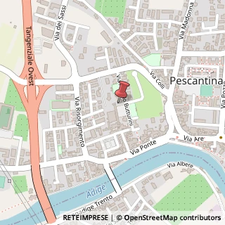Mappa Via Angelo Butturini, 12, 37026 Pescantina, Verona (Veneto)