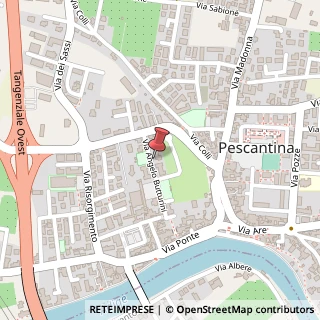 Mappa Via Angelo Butturini, 11, 37026 Pescantina, Verona (Veneto)