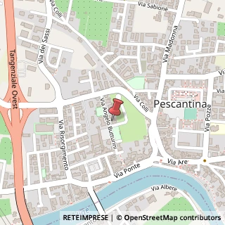 Mappa Via Angelo Butturini, 17, 37026 Pescantina, Verona (Veneto)