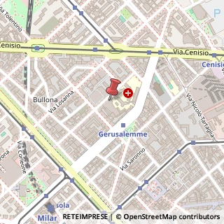 Mappa Via Lodovico Castelvetro, 24, 20154 Milano, Milano (Lombardia)