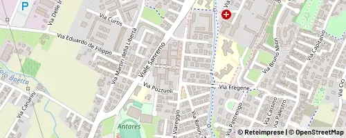 Mappa Spinea