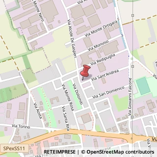 Mappa Via Sant'Andrea, 1, 20010 Bareggio, Milano (Lombardia)