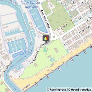 Autoveicoli Elettrici,30016Venezia