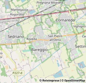 Mappa 20010 Bareggio MI, Italia (1.336)