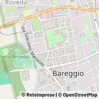 地图 Bareggio