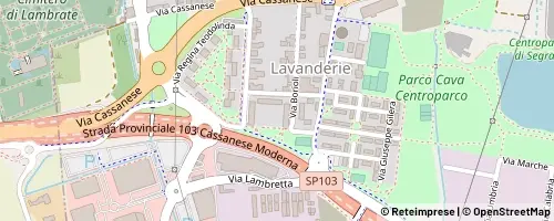 Mappa Segrate