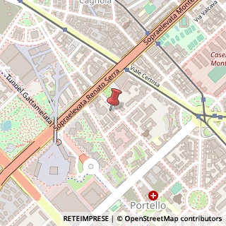 Mappa Via Marcantonio Colonna, 43, 20149 Milano, Milano (Lombardia)