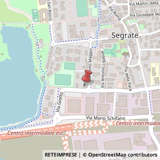 Mappa Via Amedeo Modigliani, 30, 20090 Segrate, Milano (Lombardia)