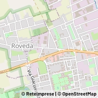 Map Bareggio