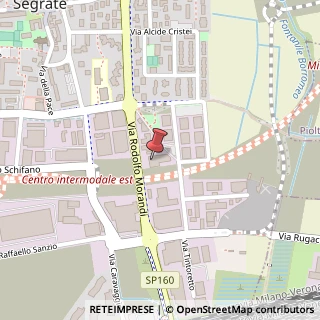 Mappa Via Rodolfo Morandi, 29, 20090 Segrate, Milano (Lombardia)