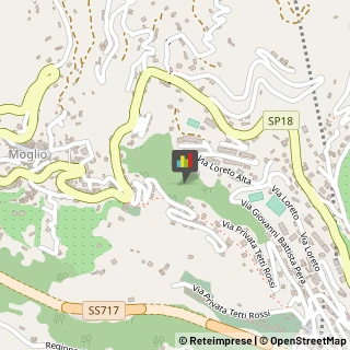 Palestre e Centri Fitness,17021Savona