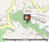 Palestre e Centri Fitness,17021Savona