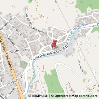 Mappa Via Roma,  35, 54038 Montignoso, Massa-Carrara (Toscana)