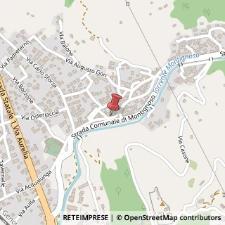 Mappa Via Roma, 166, 54038 Montignoso, Massa-Carrara (Toscana)