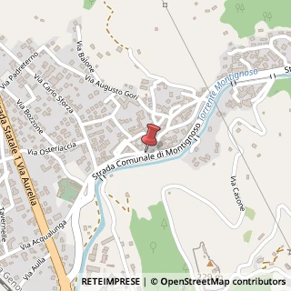 Mappa Via Roma,  160, 54038 Montignoso, Massa-Carrara (Toscana)