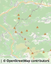 Ortofrutticoltura Pieve di Teco,18026Imperia