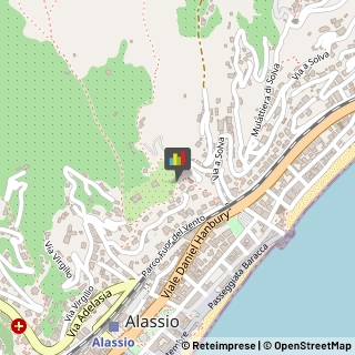 Autoveicoli Elettrici Alassio,17021Savona