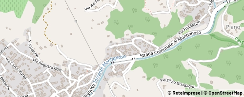 Mappa Montignoso