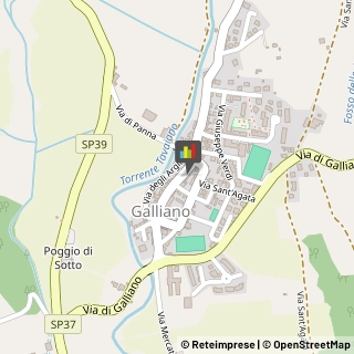 Odontoiatri e Dentisti - Medici Chirurghi,50031Firenze