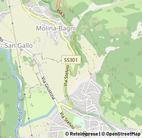 Mappa Strada Statale 38, 23032 Bormio SO, Italia (0.58846)